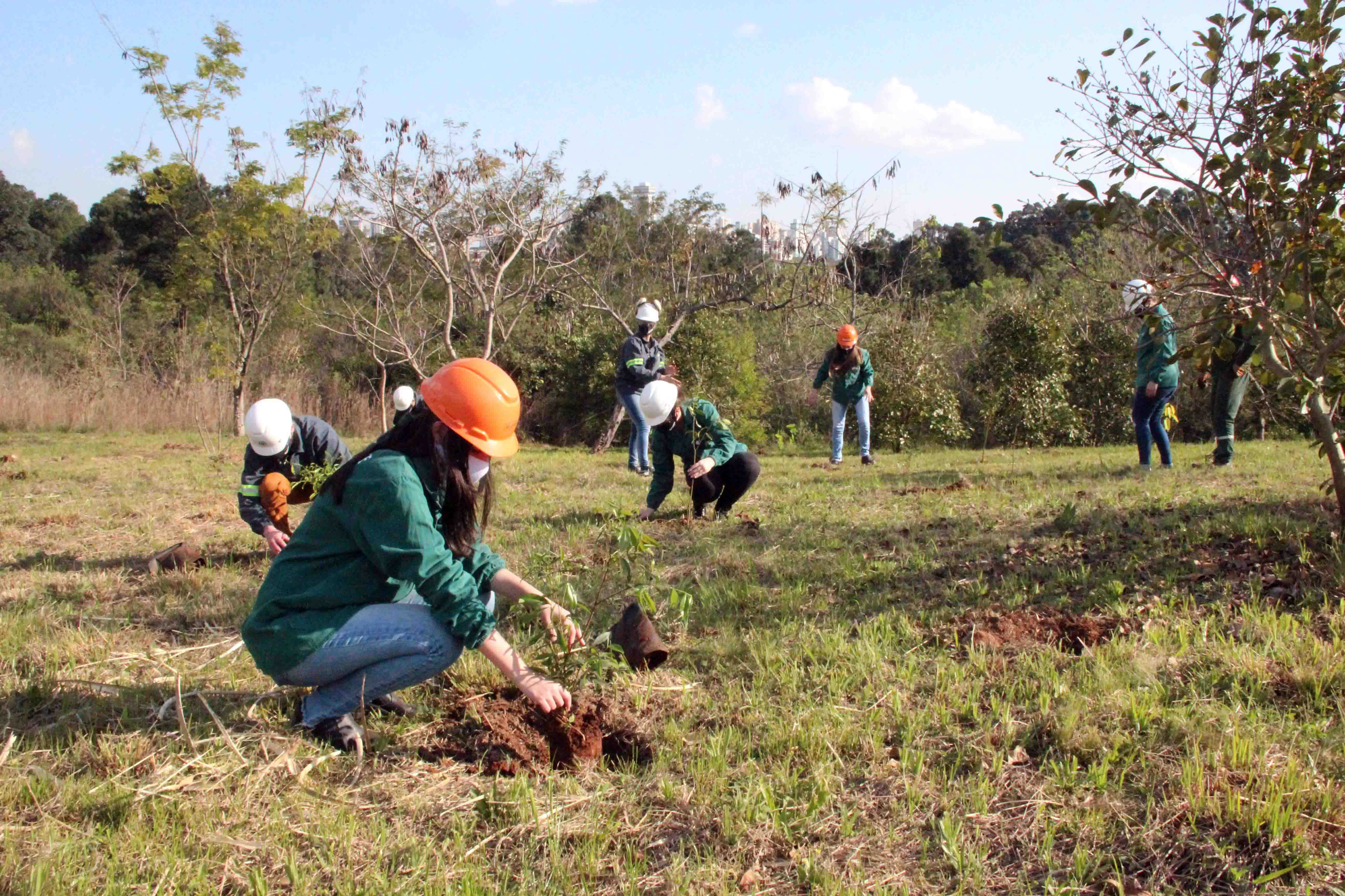 Tree Day is celebrated with planting and donation of seedlings in BSBIOS
