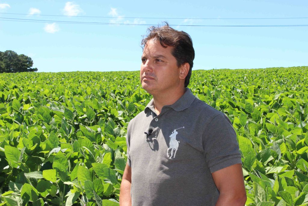 Aumento da produção de biodiesel deve beneficiar produtores gaúchos