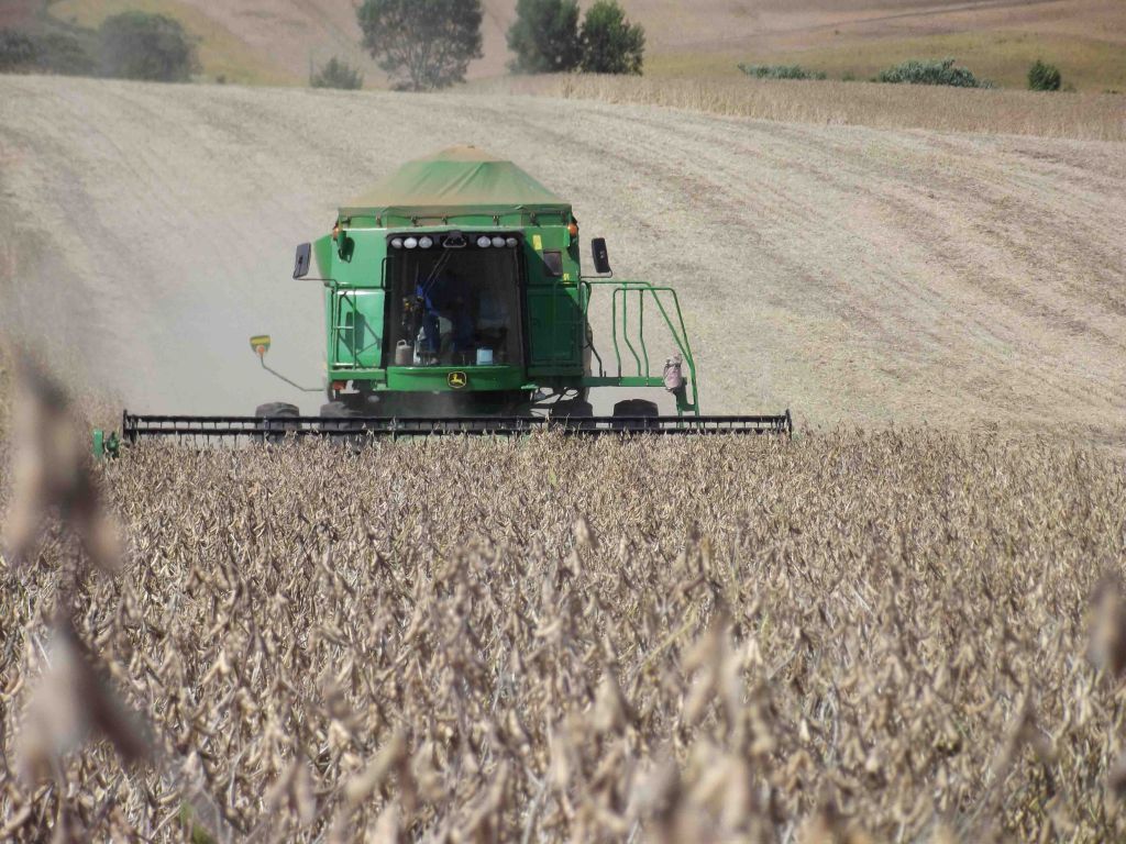 Safra 2014/2015 deve ser de 206,3 milhões de toneladas