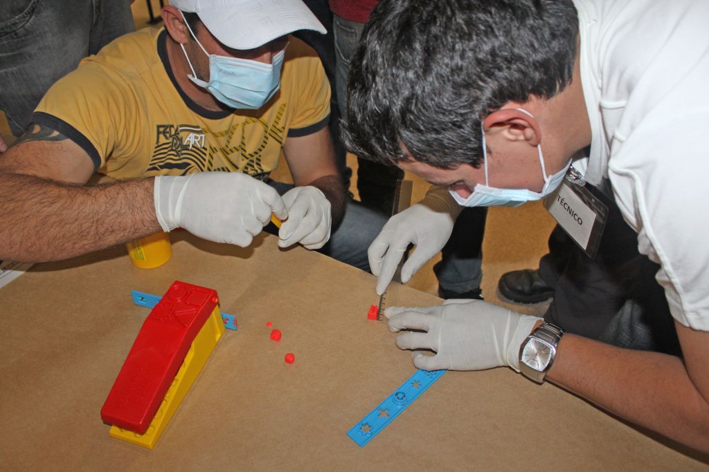 dia do meio ambiente