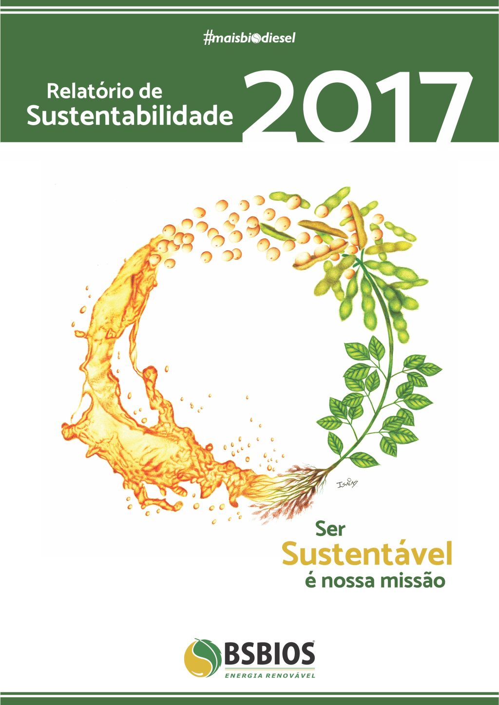 Relatório Sustentabilidade 2017