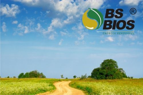 Mensagem de Ano Novo da BSBIOS