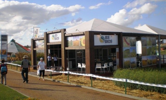 BSBIOS divulga valor para a comercialização da Canola na Expodireto