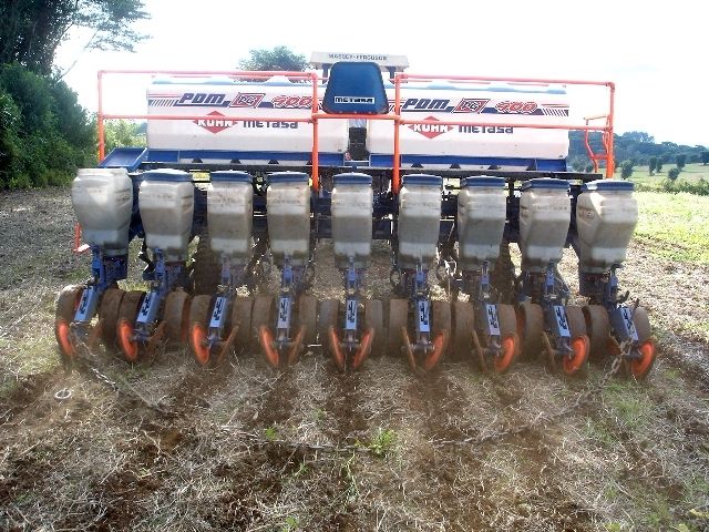 Canola growth begins to be sown in the region