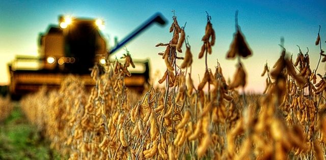 Summer crops are debated this Thursday