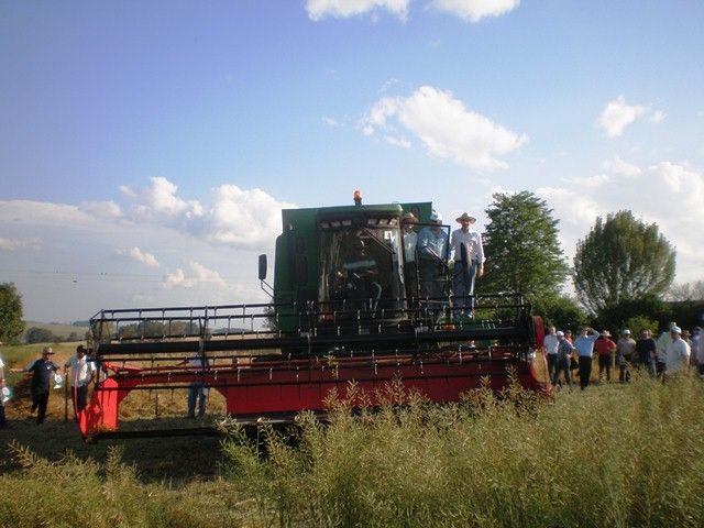Sucesso marca a abertura da Safra da Canola