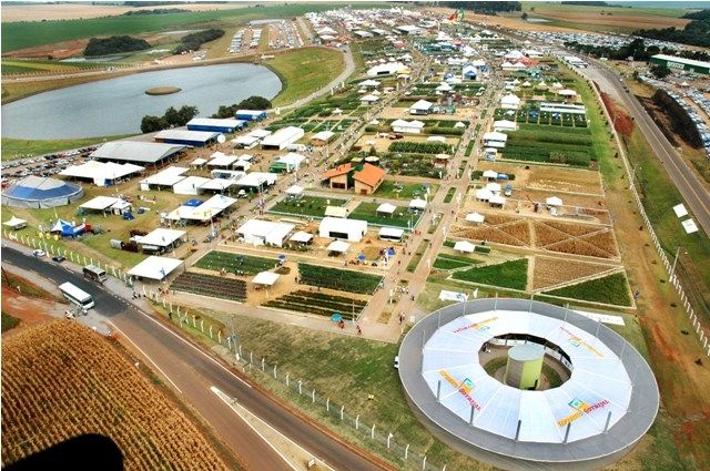 BSBIOS divulgará política de comercialização da Canola na Expodireto