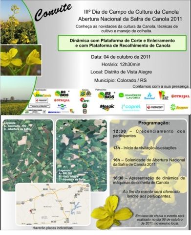 Abertura da Safra da Canola se aproxima