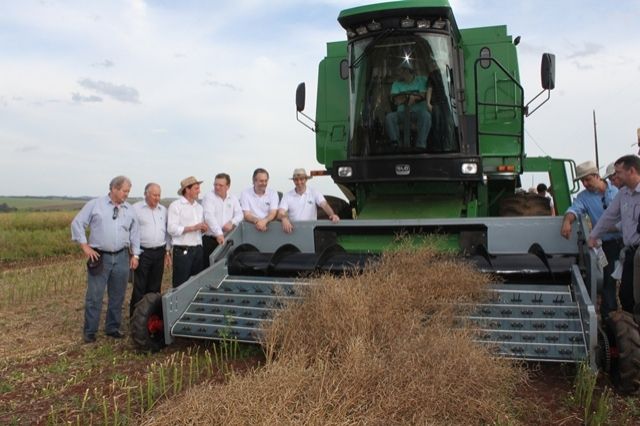 Grande público prestigia Abertura da Safra da Canola