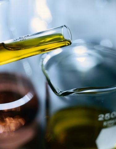 Frente Parlamentar do Biodiesel será lançada hoje