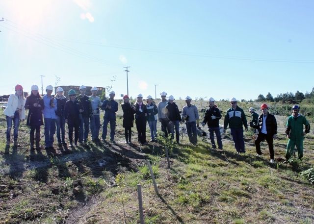 Plantio de árvores nativas para comemorar o dia mundial do meio ambiente