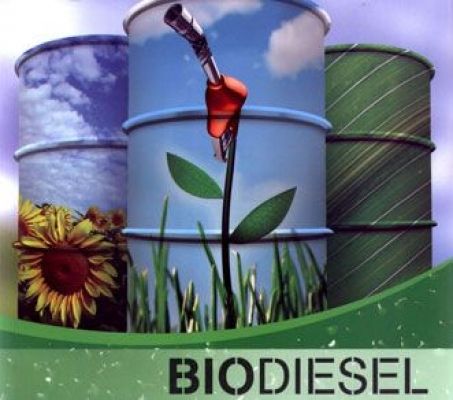 Biodiesel, nova arma no combate ao efeito estufa 